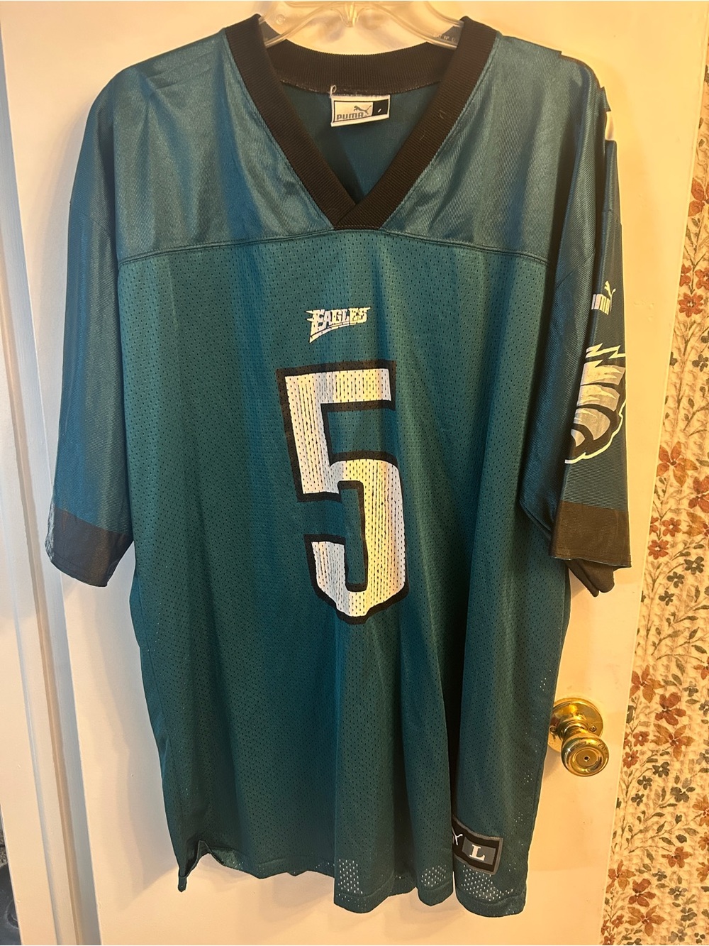Philadelphia Eagles McNabb jersey